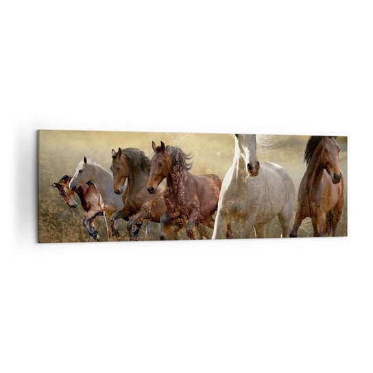 Obraz na płótnie - Niech żyje wolność! - 160x50cm - Zwierzęta Koń Galop - Nowoczesny foto obraz w ramie do salonu do sypialni ARTTOR ARTTOR