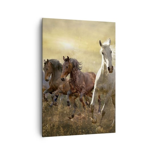 Obraz na płótnie - Niech żyje wolność! - 70x100cm - Zwierzęta Koń Galop - Nowoczesny foto obraz w ramie do salonu do sypialni ARTTOR ARTTOR