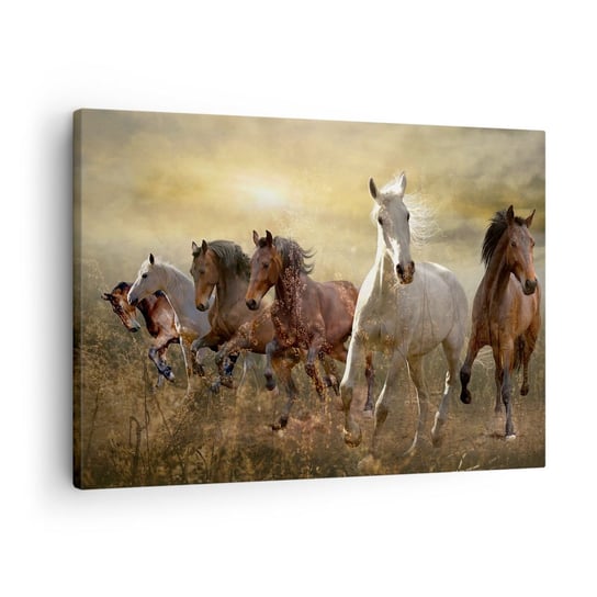 Obraz na płótnie - Niech żyje wolność! - 70x50cm - Zwierzęta Koń Galop - Nowoczesny Canvas obraz do salonu do sypialni ARTTOR ARTTOR