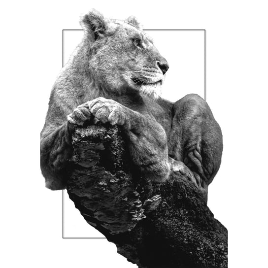 Obraz na płótnie: Niedźwiedź, 100x70 cm Art-Canvas