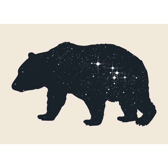 Obraz na płótnie: Niedźwiedź, 50x70 cm Art-Canvas