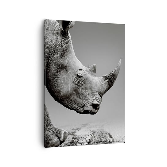 Obraz na płótnie - Niepowstrzymana siła - 50x70cm - Nosorożec Zwierzęta Afryka - Nowoczesny Canvas obraz do salonu do sypialni ARTTOR ARTTOR