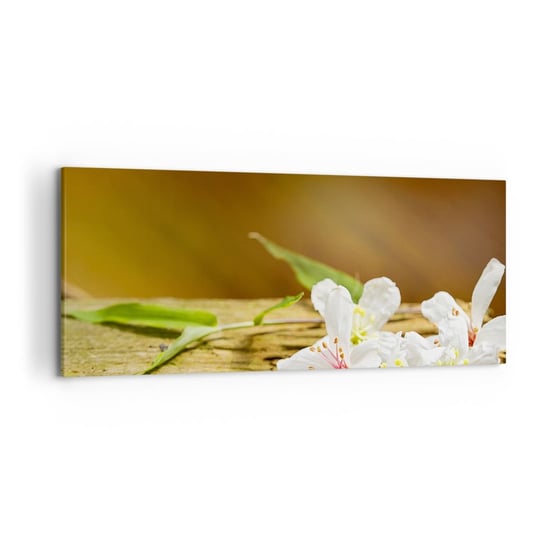 Obraz na płótnie - Niewinna obietnica - 120x50cm - Kwiaty Bambus Spa - Nowoczesny obraz na ścianę do salonu do sypialni ARTTOR ARTTOR