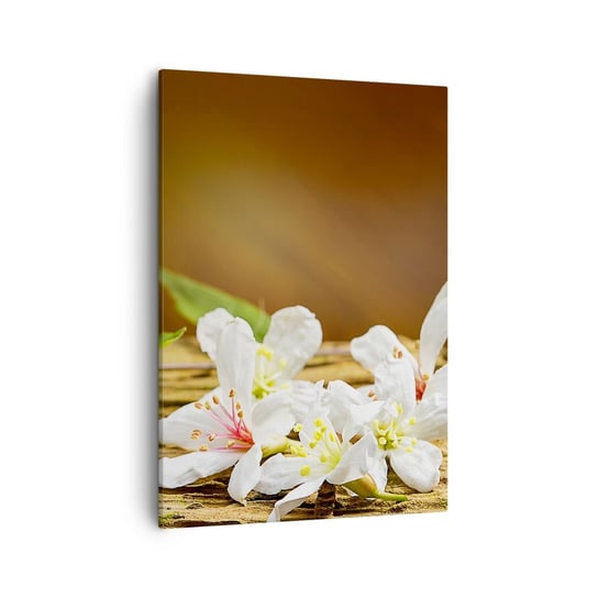 Obraz na płótnie - Niewinna obietnica - 50x70cm - Kwiaty Bambus Spa - Nowoczesny Canvas obraz do salonu do sypialni ARTTOR ARTTOR