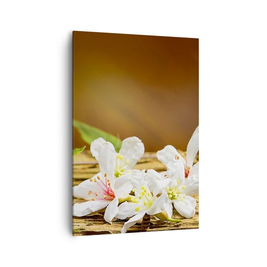 Obraz na płótnie - Niewinna obietnica - 70x100cm - Kwiaty Bambus Spa - Nowoczesny foto obraz w ramie do salonu do sypialni ARTTOR ARTTOR