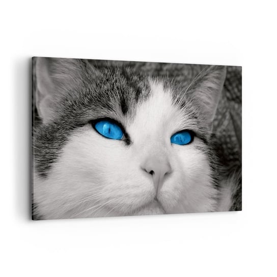 Obraz na płótnie - Niezwykły niebieskooki - 120x80cm - Zwierzęta Kot Niebieskie Oczy - Nowoczesny obraz na ścianę do salonu do sypialni ARTTOR ARTTOR