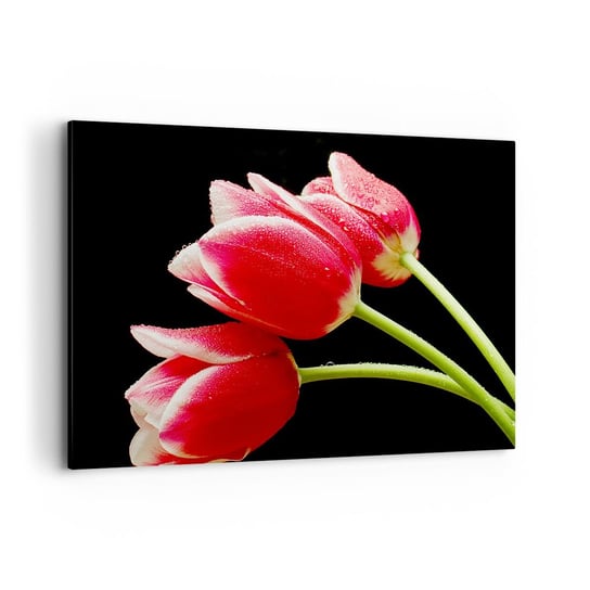 Obraz na płótnie - Obietnica czystej miłości - 120x80cm - Kwiaty Tulipany Natura - Nowoczesny obraz na ścianę do salonu do sypialni ARTTOR ARTTOR
