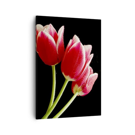 Obraz na płótnie - Obietnica czystej miłości - 50x70cm - Kwiaty Tulipany Natura - Nowoczesny Canvas obraz do salonu do sypialni ARTTOR ARTTOR