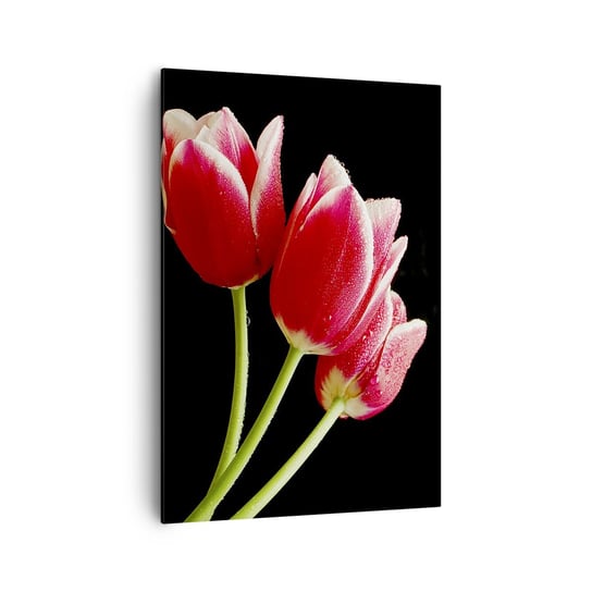 Obraz na płótnie - Obietnica czystej miłości - 70x100cm - Kwiaty Tulipany Natura - Nowoczesny foto obraz w ramie do salonu do sypialni ARTTOR ARTTOR