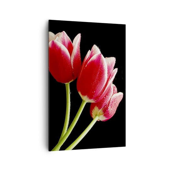 Obraz na płótnie - Obietnica czystej miłości - 80x120cm - Kwiaty Tulipany Natura - Nowoczesny obraz na ścianę do salonu do sypialni ARTTOR ARTTOR