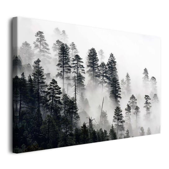 Obraz na płótnie obrazy na ścianę do salonu Las we mgle 80x120cm Naklejkomania