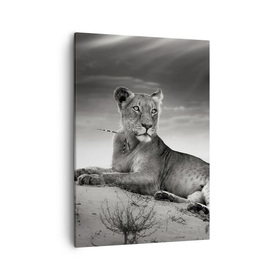Obraz na płótnie - Odpoczynek królowej pustyni - 50x70cm - Zwierzęta Lew Pustynia - Nowoczesny Canvas obraz do salonu do sypialni ARTTOR ARTTOR