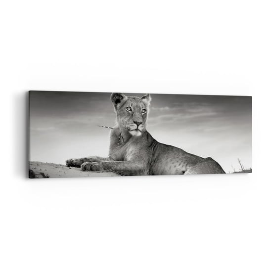 Obraz na płótnie - Odpoczynek królowej pustyni - 90x30cm - Zwierzęta Lew Pustynia - Nowoczesny Canvas obraz do salonu do sypialni ARTTOR ARTTOR
