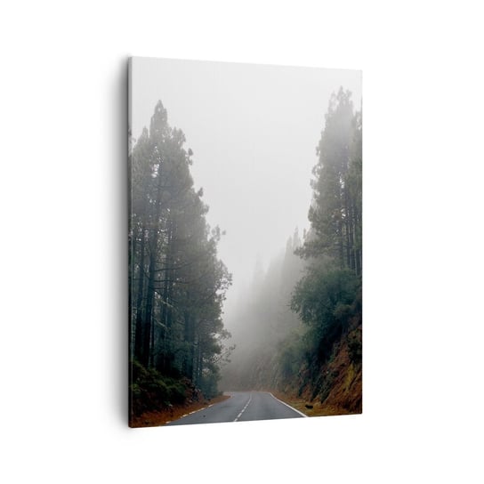 Obraz na płótnie - Opowieść magicznego lasu - 50x70cm - Krajobraz Górski Las Drzewa - Nowoczesny Canvas obraz do salonu do sypialni ARTTOR ARTTOR