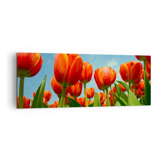 Obraz na płótnie - Oprócz błękitnego nieba nic im w życiu nie potrzeba - 140x50cm - Kwiaty Tulipany Natura - Nowoczesny Canvas obraz do salonu do sypialni ARTTOR ARTTOR