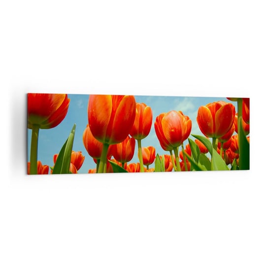 Obraz na płótnie - Oprócz błękitnego nieba nic im w życiu nie potrzeba - 160x50cm - Kwiaty Tulipany Natura - Nowoczesny foto obraz w ramie do salonu do sypialni ARTTOR ARTTOR