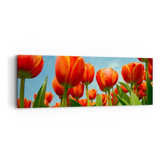 Obraz na płótnie - Oprócz błękitnego nieba nic im w życiu nie potrzeba - 90x30cm - Kwiaty Tulipany Natura - Nowoczesny Canvas obraz do salonu do sypialni ARTTOR ARTTOR