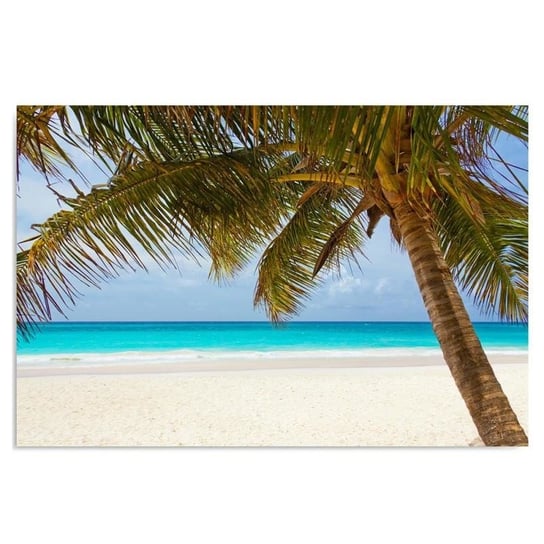 Obraz na płótnie, Palma na plaży, 100x70 cm Feeby