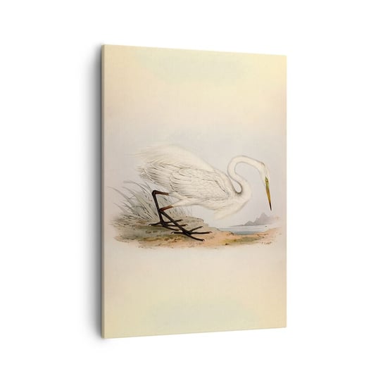 Obraz na płótnie - Pani na szuwarach - 50x70cm - Ptak Biała Czapla Sztuka - Nowoczesny Canvas obraz do salonu do sypialni ARTTOR ARTTOR