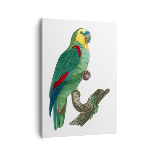 Obraz na płótnie - Papuzi portret - 50x70cm - Papuga Ptak Vintage - Nowoczesny Canvas obraz do salonu do sypialni ARTTOR ARTTOR