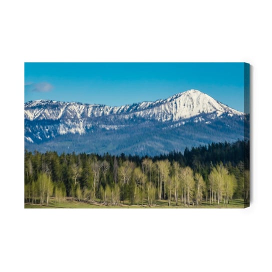 Obraz Na Płótnie Park Narodowy Grand Teton W Usa 120x80 NC Inna marka