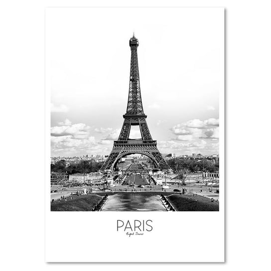 Obraz na płótnie, Paryż, 80x120 cm Feeby
