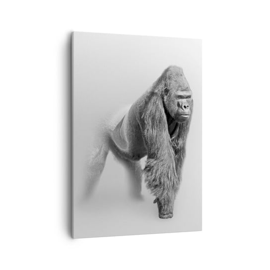 Obraz na płótnie - Pewny swej siły - 50x70cm - Zwierzęta Goryl Małpa - Nowoczesny Canvas obraz do salonu do sypialni ARTTOR ARTTOR