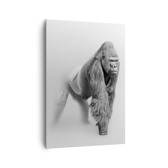 Obraz na płótnie - Pewny swej siły - 70x100cm - Zwierzęta Goryl Małpa - Nowoczesny foto obraz w ramie do salonu do sypialni ARTTOR ARTTOR