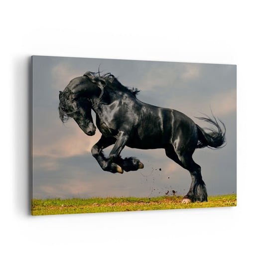 Obraz na płótnie - Piękny i wolny - 100x70cm - Zwierzęta Koń Krajobraz - Nowoczesny foto obraz w ramie do salonu do sypialni ARTTOR ARTTOR