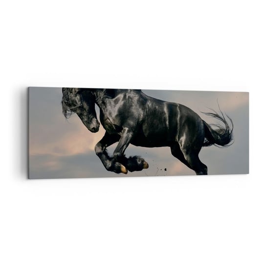 Obraz na płótnie - Piękny i wolny - 140x50cm - Zwierzęta Koń Krajobraz - Nowoczesny Canvas obraz do salonu do sypialni ARTTOR ARTTOR