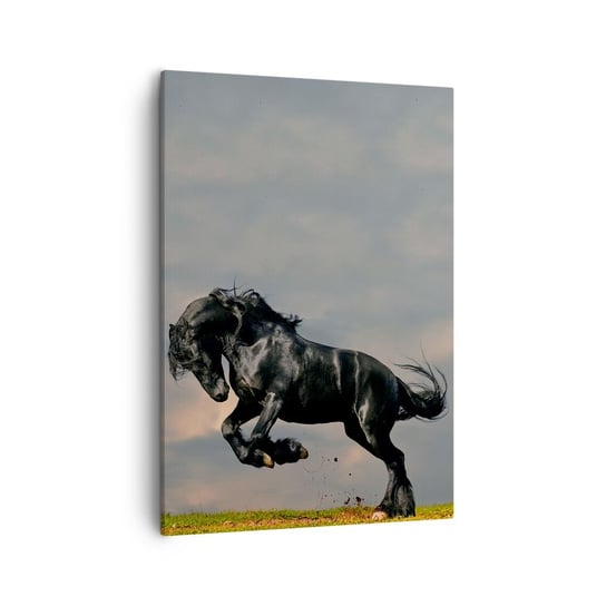 Obraz na płótnie - Piękny i wolny - 50x70cm - Zwierzęta Koń Krajobraz - Nowoczesny Canvas obraz do salonu do sypialni ARTTOR ARTTOR