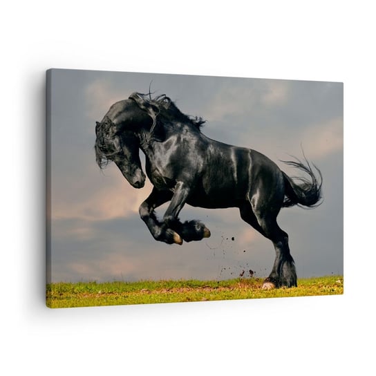 Obraz na płótnie - Piękny i wolny - 70x50cm - Zwierzęta Koń Krajobraz - Nowoczesny Canvas obraz do salonu do sypialni ARTTOR ARTTOR