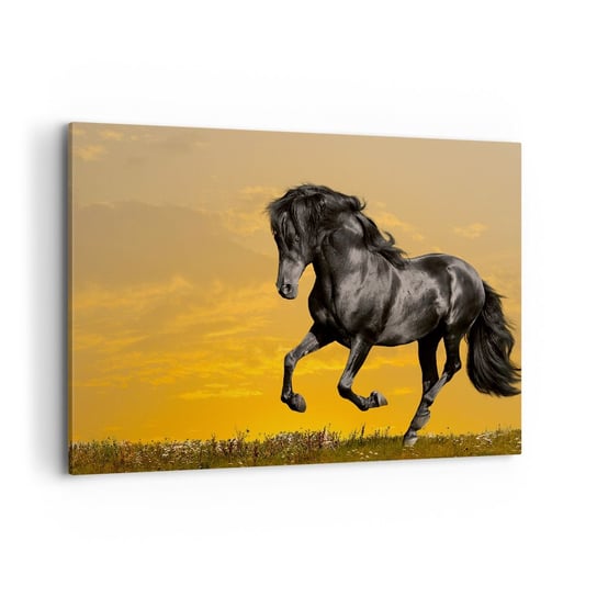 Obraz na płótnie - Piękny, wolny i dziki - 100x70cm - Zwierzęta Koń Krajobraz - Nowoczesny foto obraz w ramie do salonu do sypialni ARTTOR ARTTOR