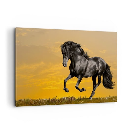 Obraz na płótnie - Piękny, wolny i dziki - 120x80cm - Zwierzęta Koń Krajobraz - Nowoczesny obraz na ścianę do salonu do sypialni ARTTOR ARTTOR