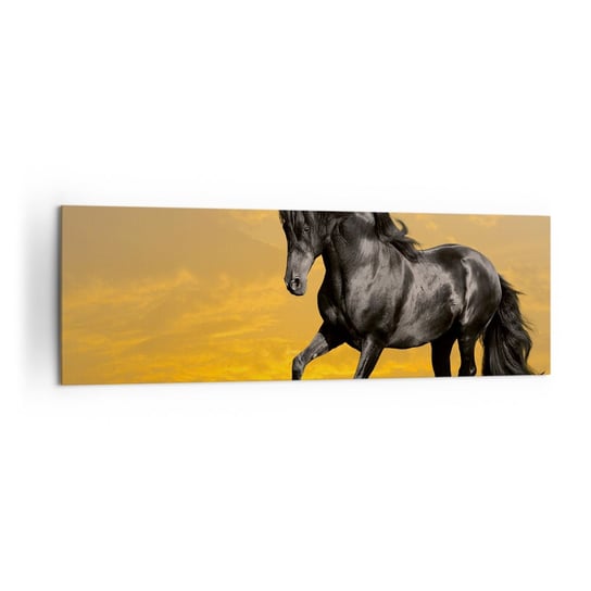 Obraz na płótnie - Piękny, wolny i dziki - 160x50 cm - Obraz nowoczesny - Zwierzęta, Koń, Krajobraz, Natura, Galop - AB160x50-2248 ARTTOR
