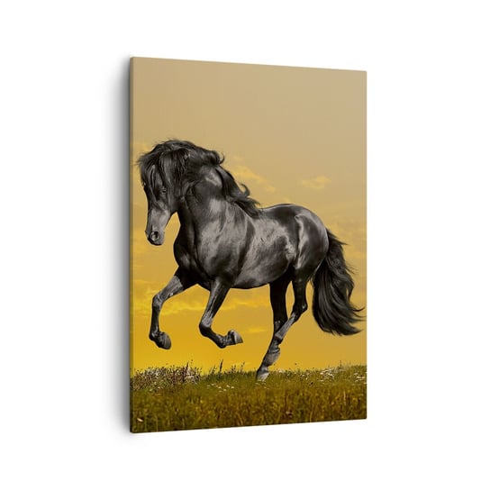 Obraz na płótnie - Piękny, wolny i dziki - 50x70cm - Zwierzęta Koń Krajobraz - Nowoczesny Canvas obraz do salonu do sypialni ARTTOR ARTTOR