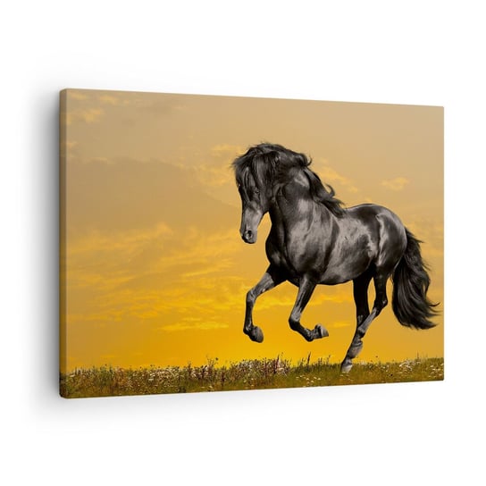 Obraz na płótnie - Piękny, wolny i dziki - 70x50cm - Zwierzęta Koń Krajobraz - Nowoczesny Canvas obraz do salonu do sypialni ARTTOR ARTTOR
