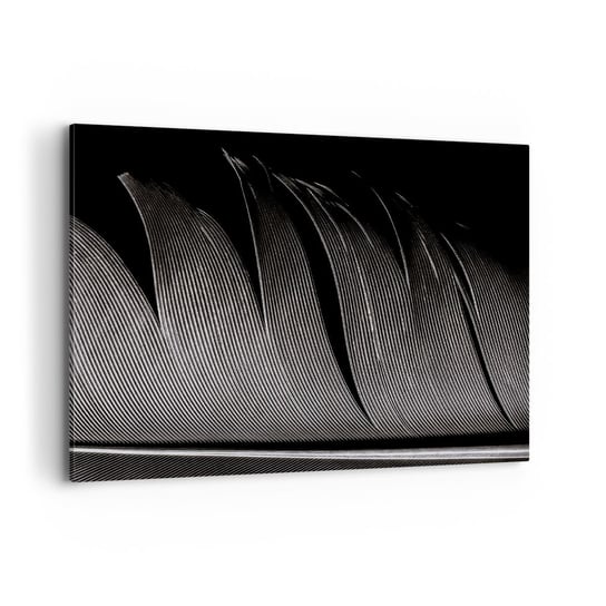 Obraz na płótnie - Pióro – cudowna konstrukcja - 120x80cm - Pióro Minimalizm Lekkość - Nowoczesny obraz na ścianę do salonu do sypialni ARTTOR ARTTOR