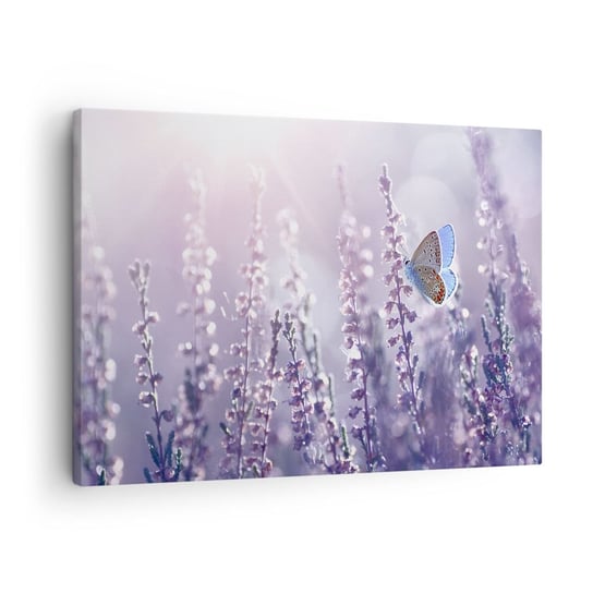 Obraz na płótnie - Pocałunek motyla - 70x50 cm - Obraz nowoczesny - Motyl, Łąka, Kwiat, Natura, Fiolety - AA70x50-4014 ARTTOR