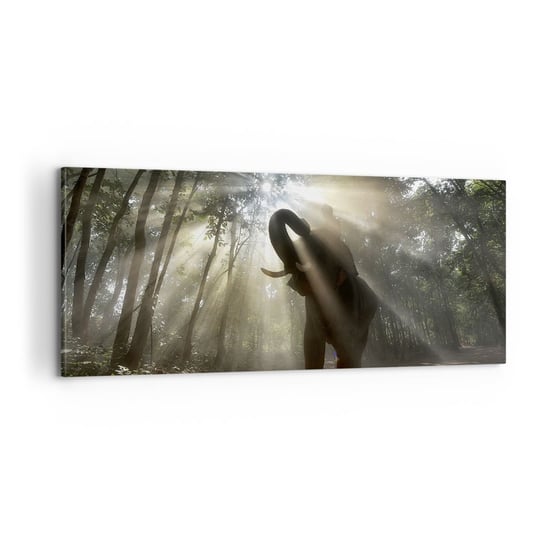 Obraz na płótnie - Pod szczęśliwą gwiazdą - 100x40cm - Krajobraz Słoń Dżungla - Nowoczesny foto obraz w ramie do salonu do sypialni ARTTOR ARTTOR