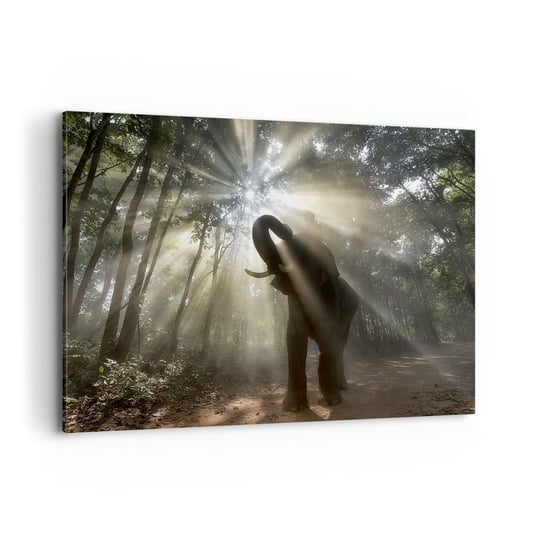 Obraz na płótnie - Pod szczęśliwą gwiazdą - 100x70cm - Krajobraz Słoń Dżungla - Nowoczesny foto obraz w ramie do salonu do sypialni ARTTOR ARTTOR