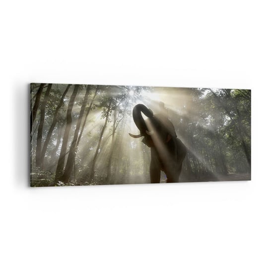 Obraz na płótnie - Pod szczęśliwą gwiazdą - 120x50cm - Krajobraz Słoń Dżungla - Nowoczesny obraz na ścianę do salonu do sypialni ARTTOR ARTTOR