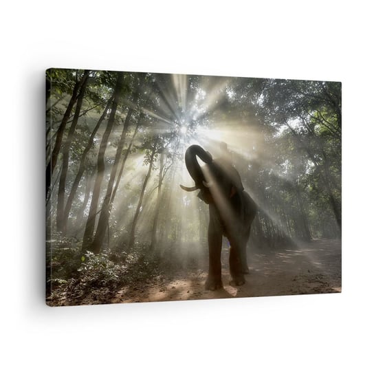 Obraz na płótnie - Pod szczęśliwą gwiazdą - 70x50cm - Krajobraz Słoń Dżungla - Nowoczesny Canvas obraz do salonu do sypialni ARTTOR ARTTOR