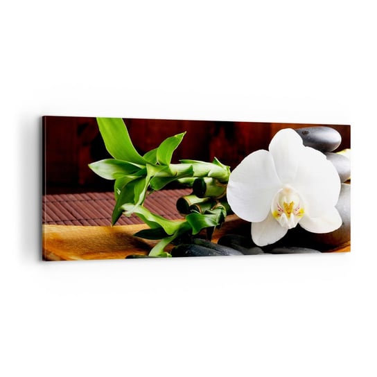 Obraz na płótnie - Poddaj się dotykowi natury - 100x40cm - Kwiaty Orchidea Storczyk - Nowoczesny foto obraz w ramie do salonu do sypialni ARTTOR ARTTOR