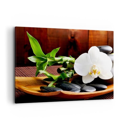 Obraz na płótnie - Poddaj się dotykowi natury - 100x70cm - Kwiaty Orchidea Storczyk - Nowoczesny foto obraz w ramie do salonu do sypialni ARTTOR ARTTOR