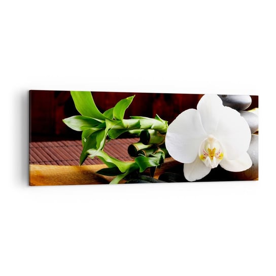Obraz na płótnie - Poddaj się dotykowi natury - 140x50cm - Kwiaty Orchidea Storczyk - Nowoczesny Canvas obraz do salonu do sypialni ARTTOR ARTTOR