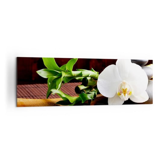 Obraz na płótnie - Poddaj się dotykowi natury - 160x50cm - Kwiaty Orchidea Storczyk - Nowoczesny foto obraz w ramie do salonu do sypialni ARTTOR ARTTOR