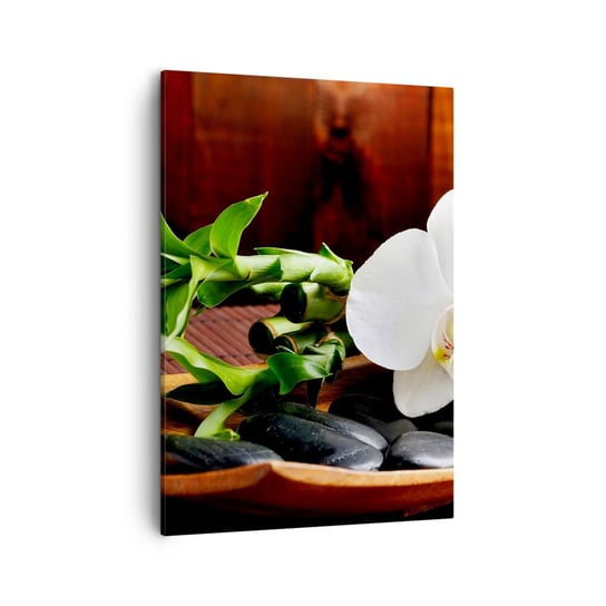 Obraz na płótnie - Poddaj się dotykowi natury - 50x70cm - Kwiaty Orchidea Storczyk - Nowoczesny Canvas obraz do salonu do sypialni ARTTOR ARTTOR