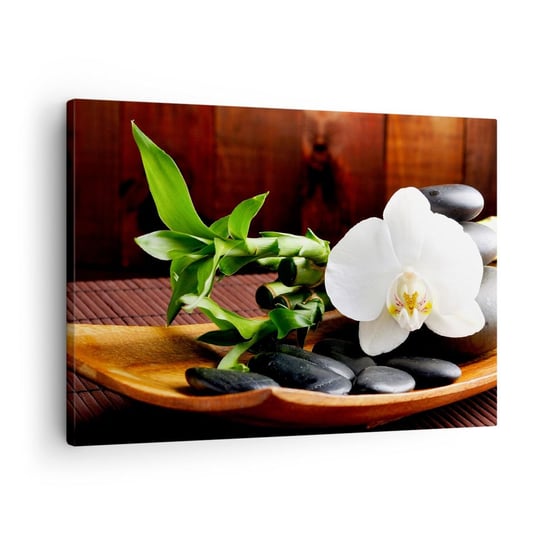 Obraz na płótnie - Poddaj się dotykowi natury - 70x50cm - Kwiaty Orchidea Storczyk - Nowoczesny Canvas obraz do salonu do sypialni ARTTOR ARTTOR