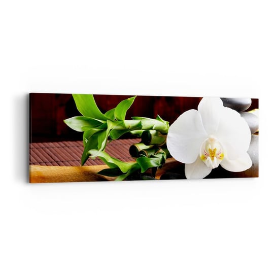 Obraz na płótnie - Poddaj się dotykowi natury - 90x30cm - Kwiaty Orchidea Storczyk - Nowoczesny Canvas obraz do salonu do sypialni ARTTOR ARTTOR